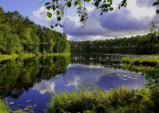 Waldsee bei Perakla