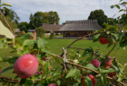 Insel Muhu: Romantische Landunterknfte 